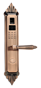 Forged Brass Fingerprint Access Door Lock with Password and IC Card